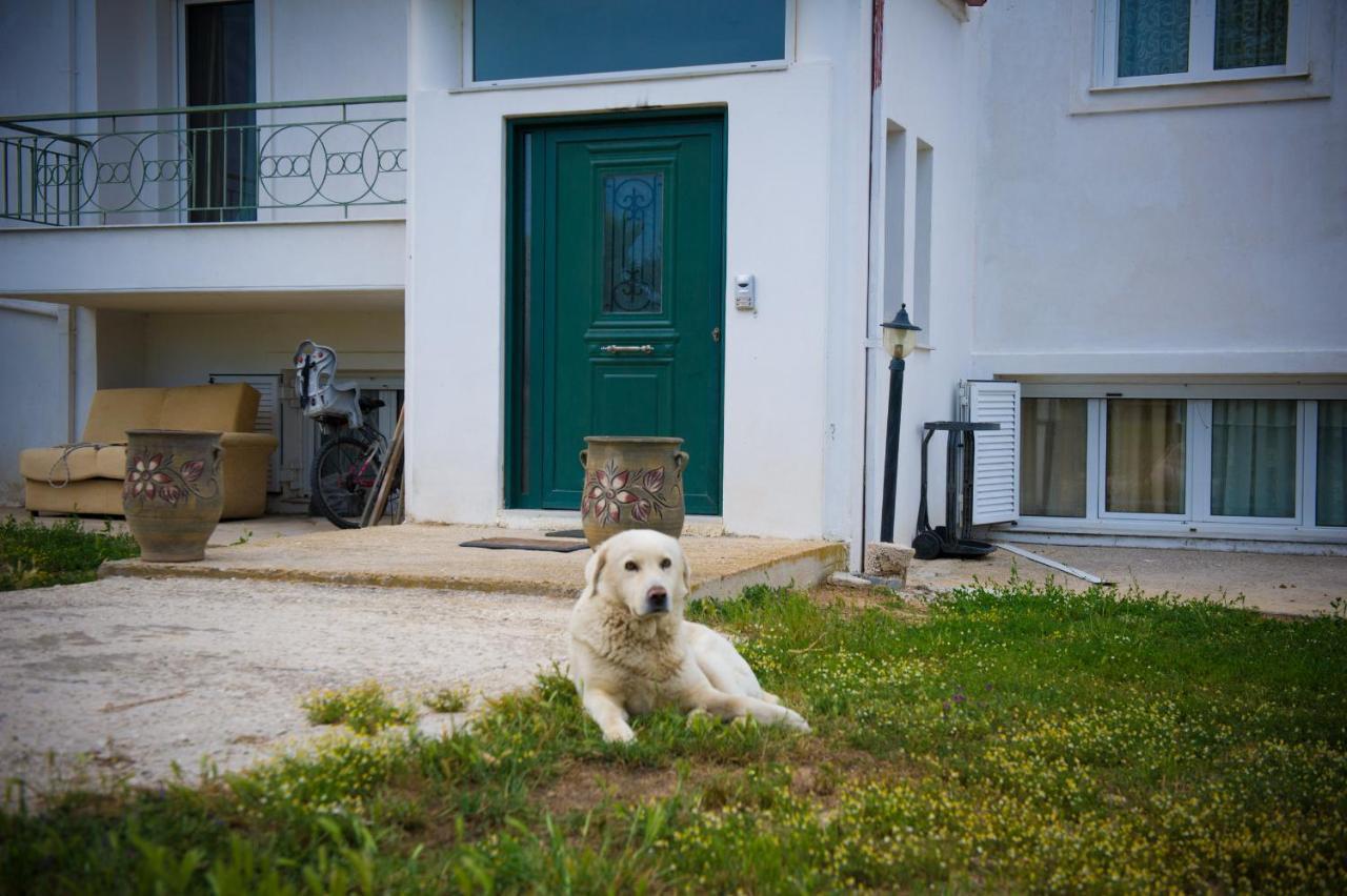 Olives Estate Apartments Grande Preveza Exterior foto